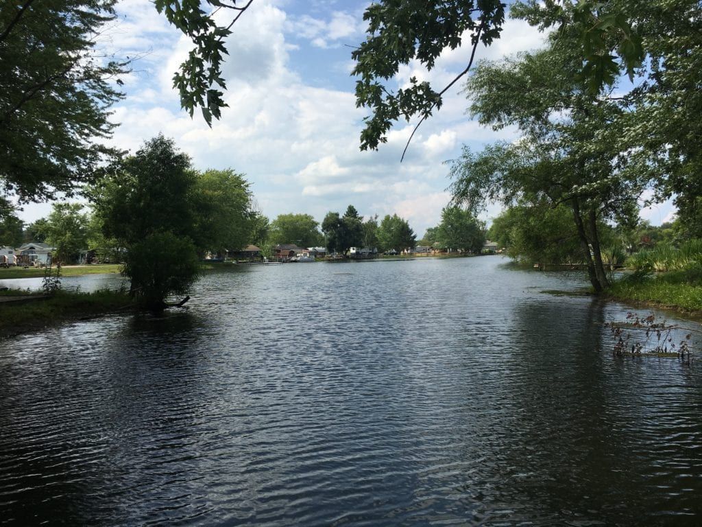 A large body of water surrounded by trees on a sunny day