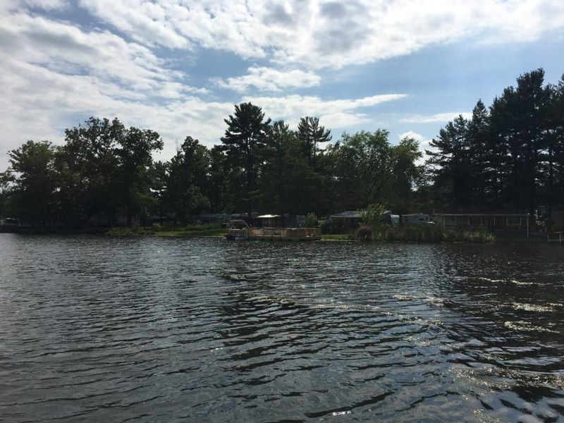 A large body of water surrounded by trees on a sunny day