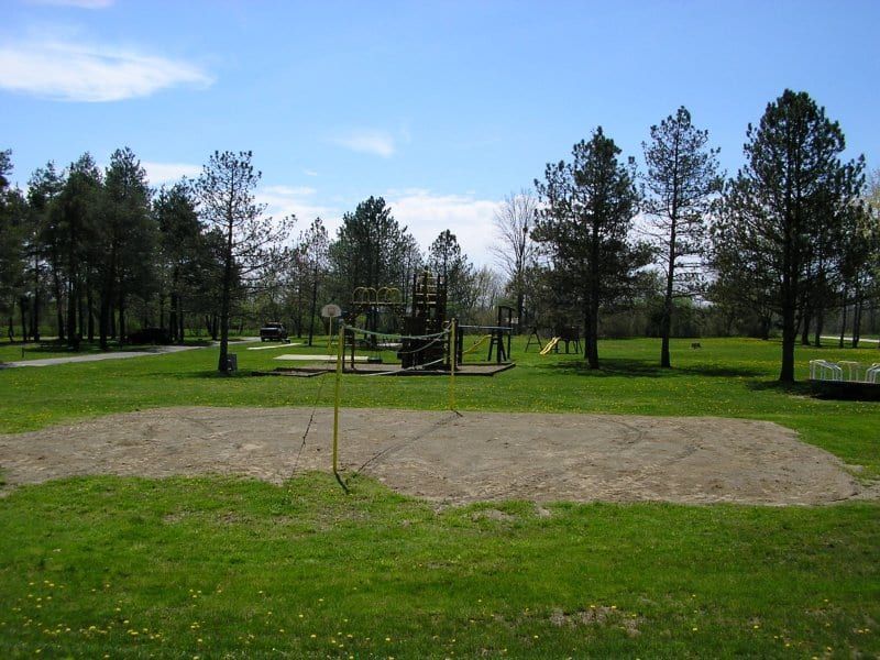 A volleyball court in a park with trees in the background