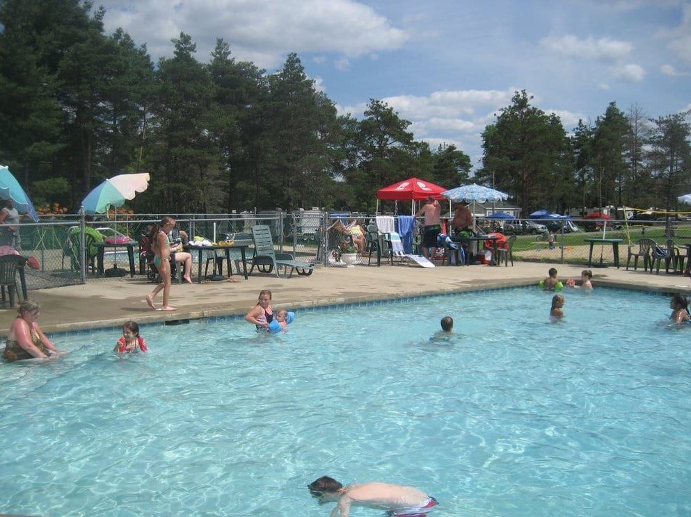A group of people are swimming in a large swimming pool