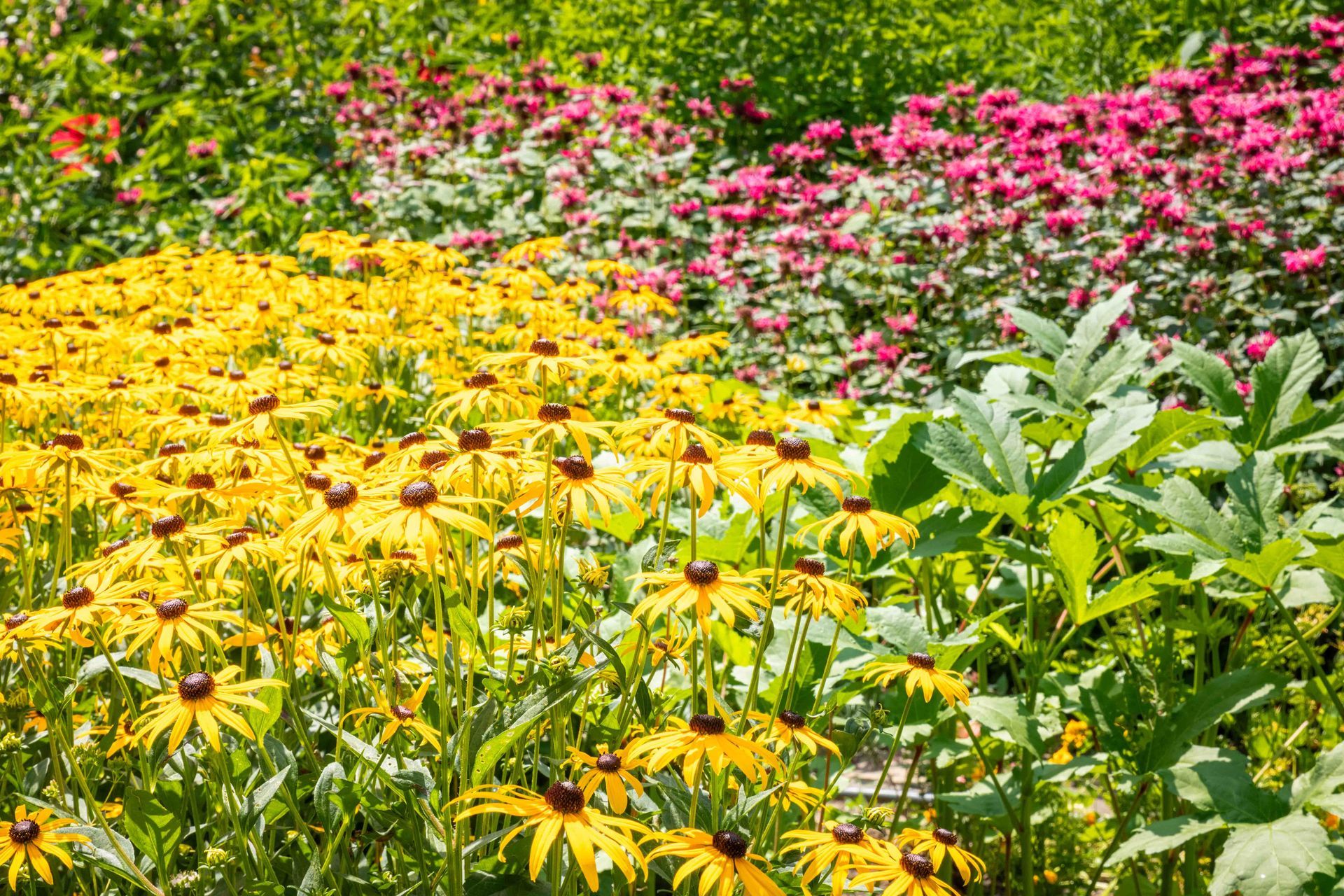 Kiwanis Table at the Garden Tour, 2024