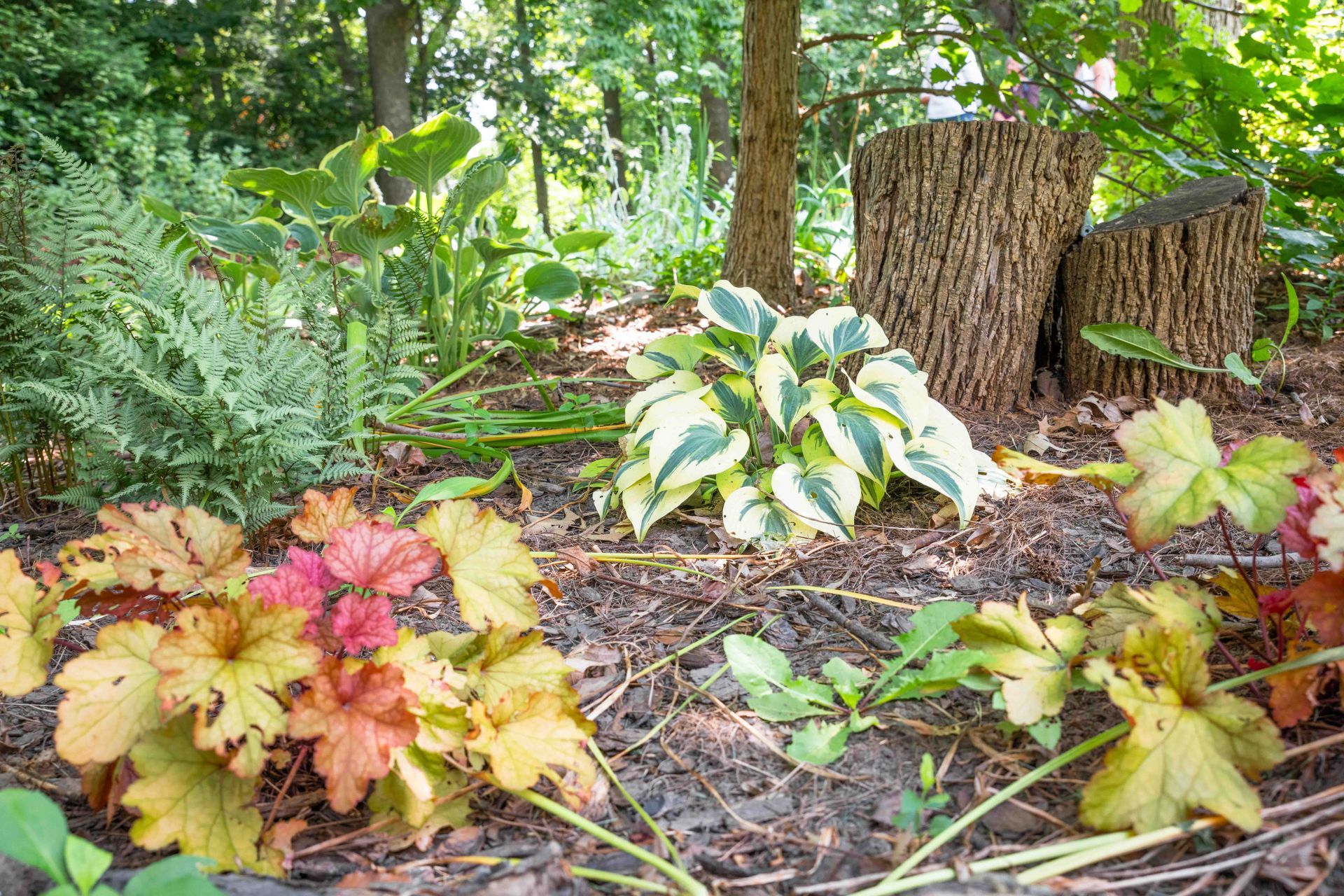 Kiwanis Table at the Garden Tour, 2024