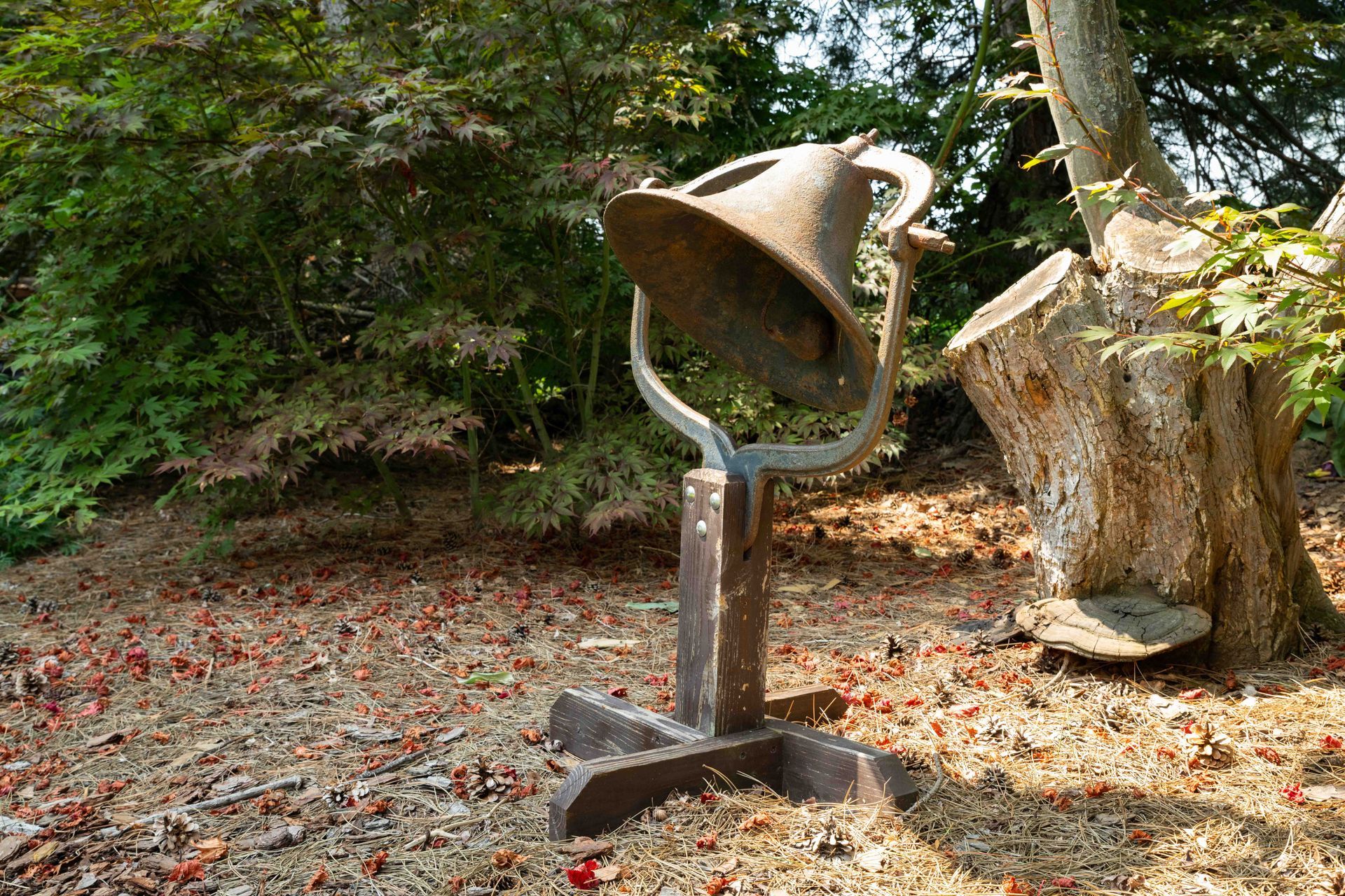 Kiwanis Table at the Garden Tour, 2024