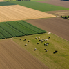 Patchwork of crops.