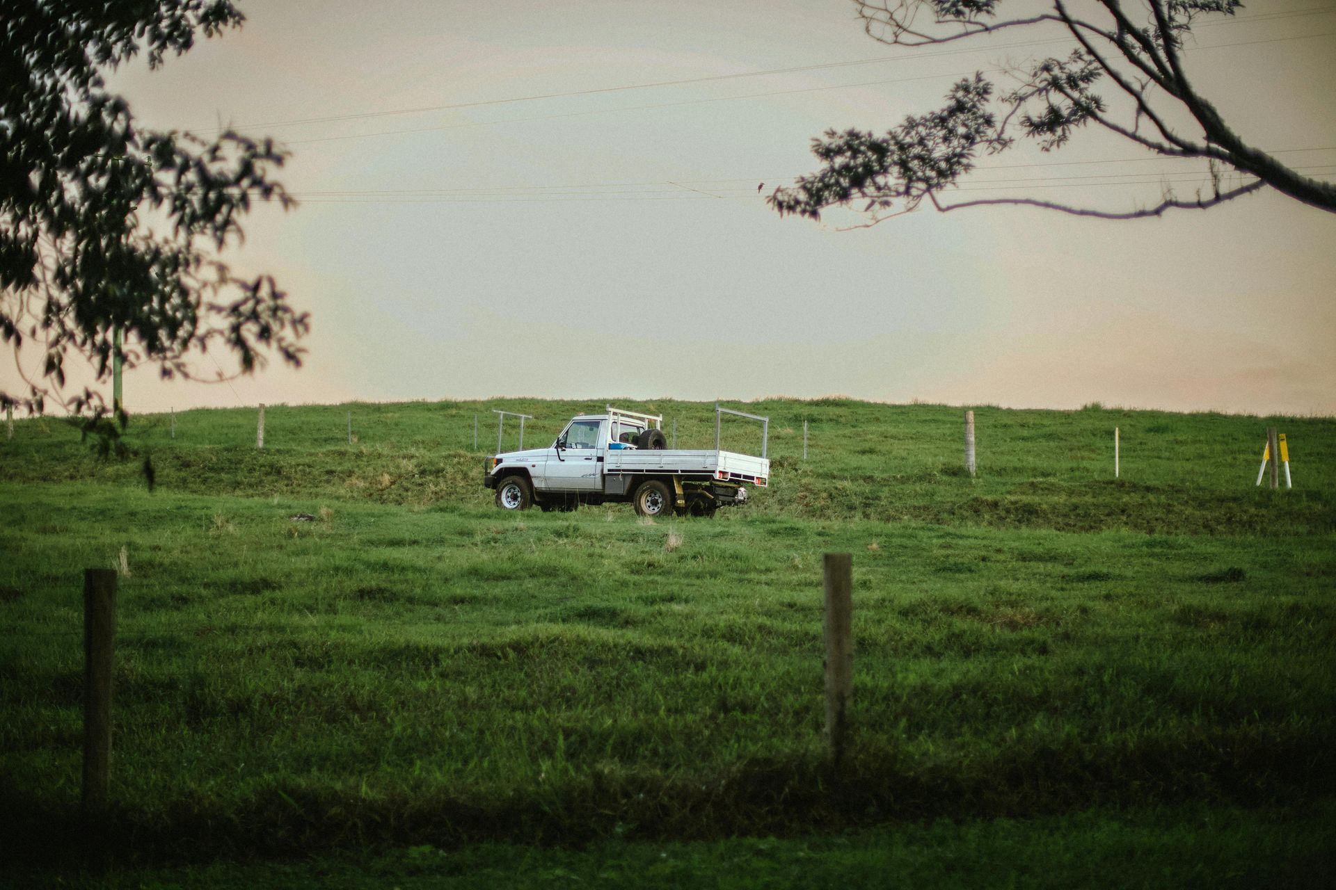 Landcruiser ute. Pasture assessment.