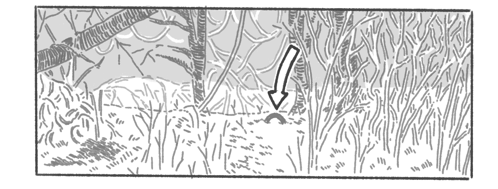 A black and white drawing of a thicket with a small arrow pointing at a half-buried bike tire.