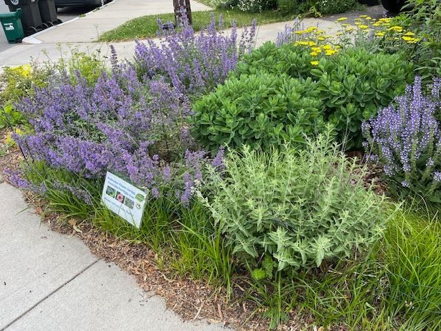 Environmental Advocacy