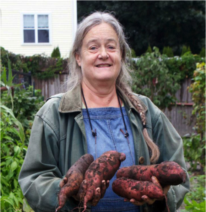 Profile picture of Judy Fallows