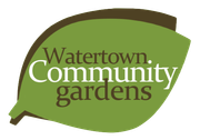 Watertown Community Gardens