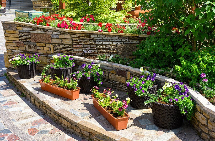 planters outside the house