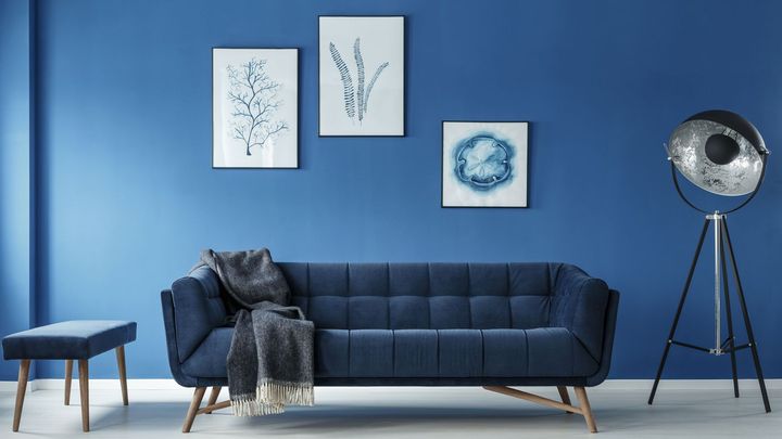 a living room with blue walls and a blue couch .