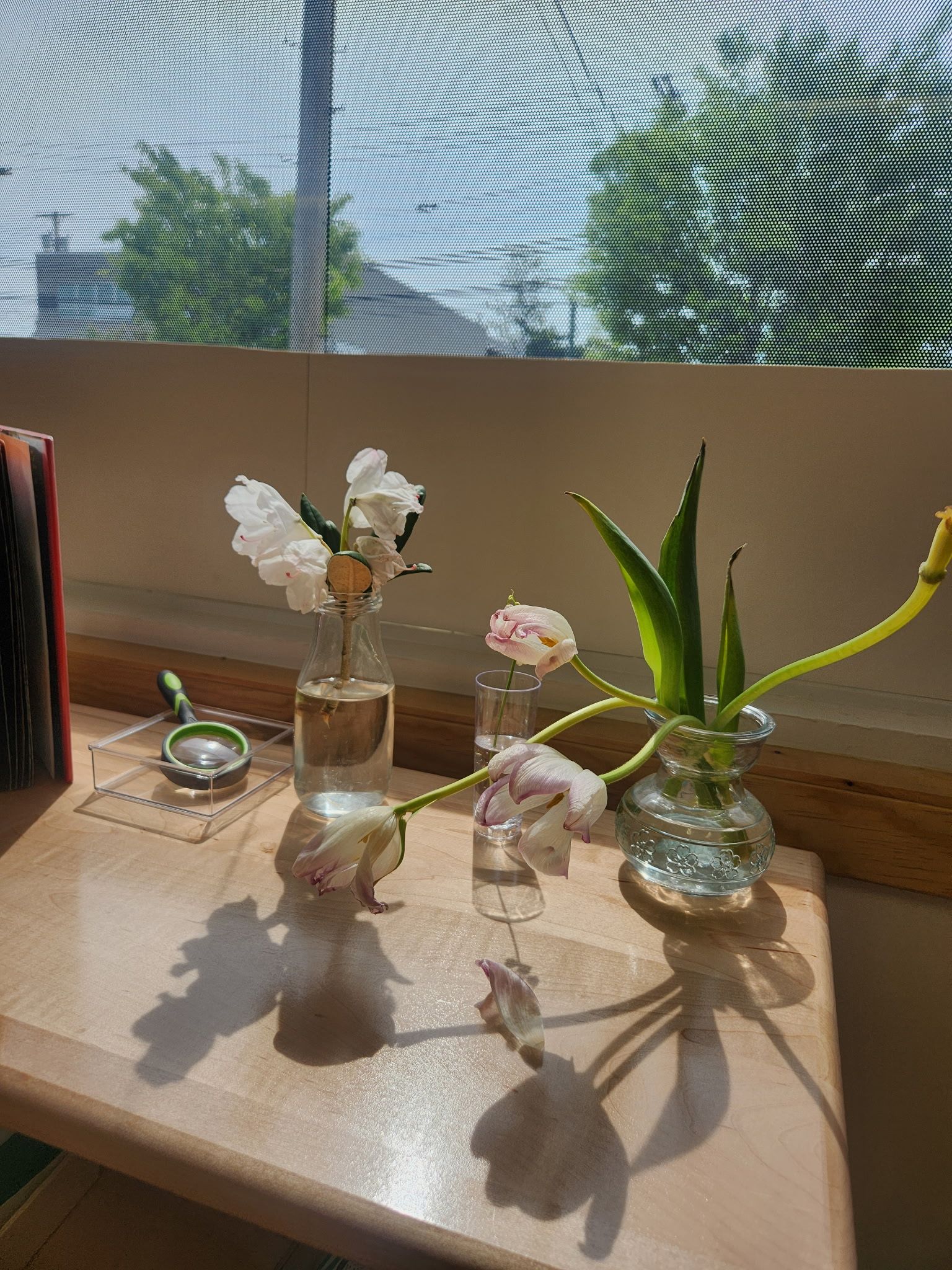 Sprouts Nursery Playschool Montessori Gallery