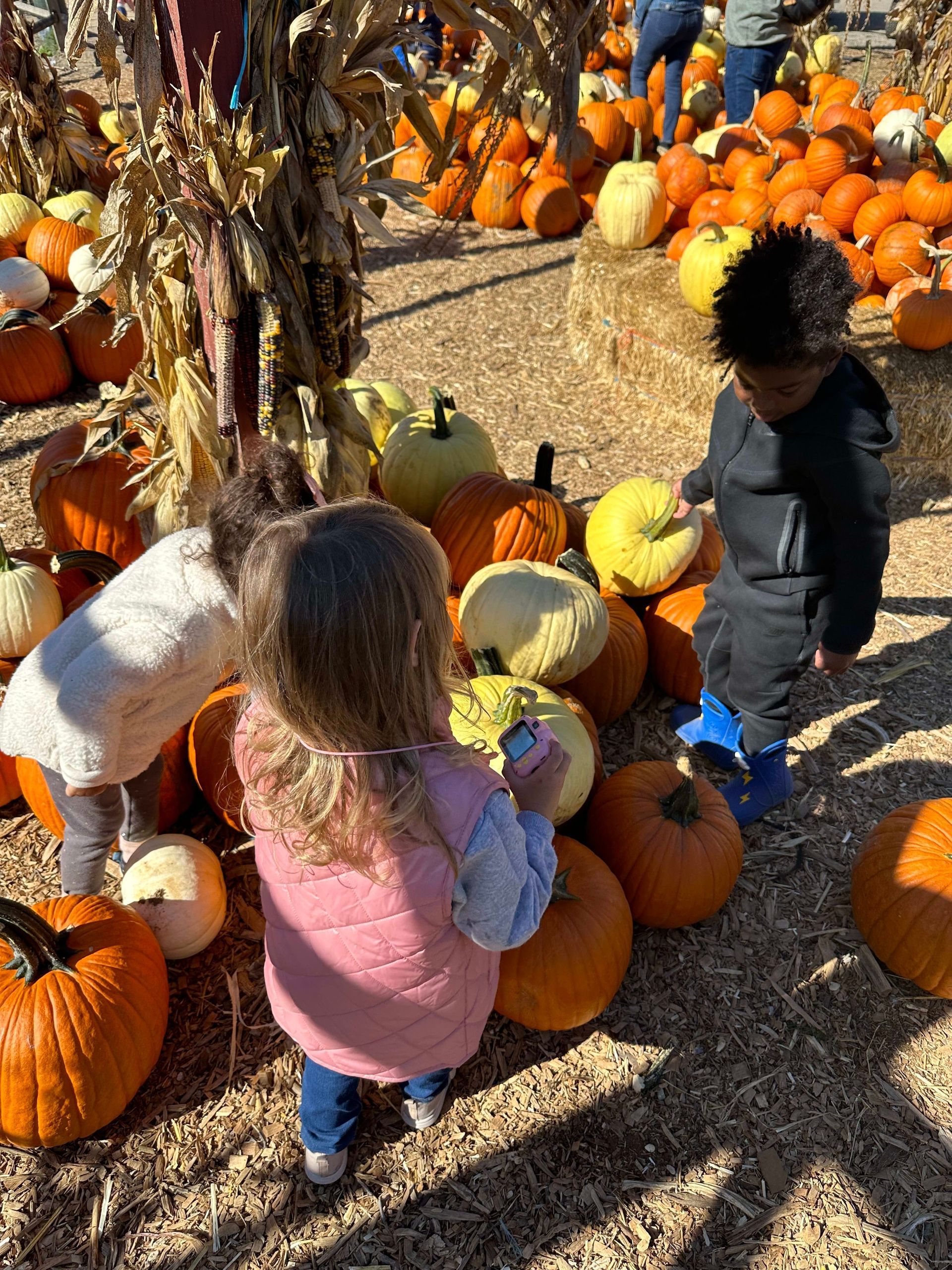 Sprouts Nursery Playschool Montessori Gallery