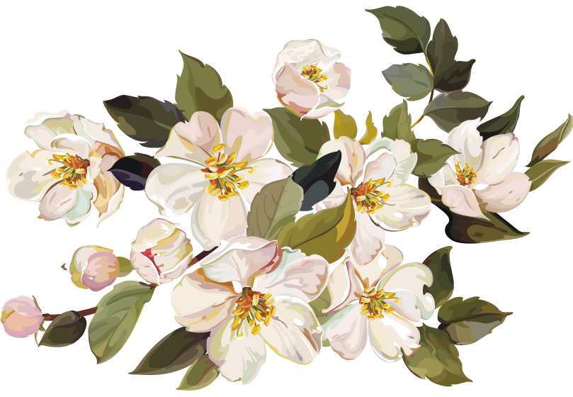 White Flower White Flower