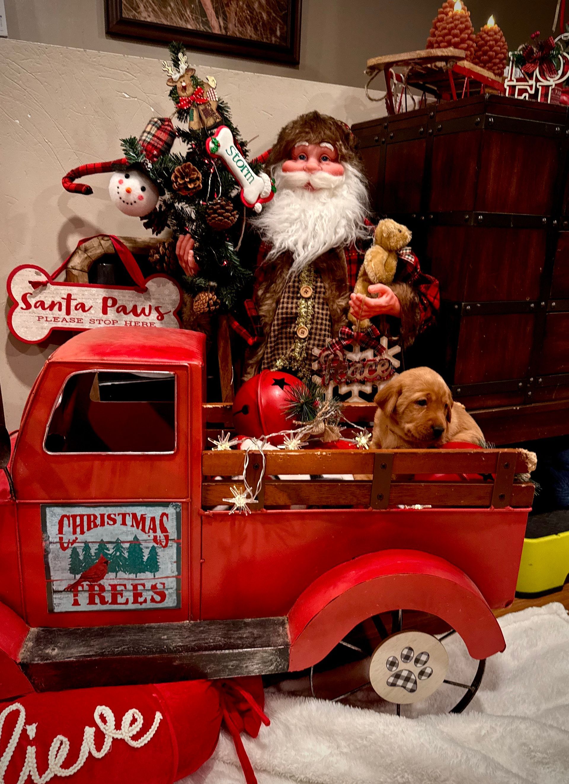 Red truck with Santa, Christmas tree, puppy, and 