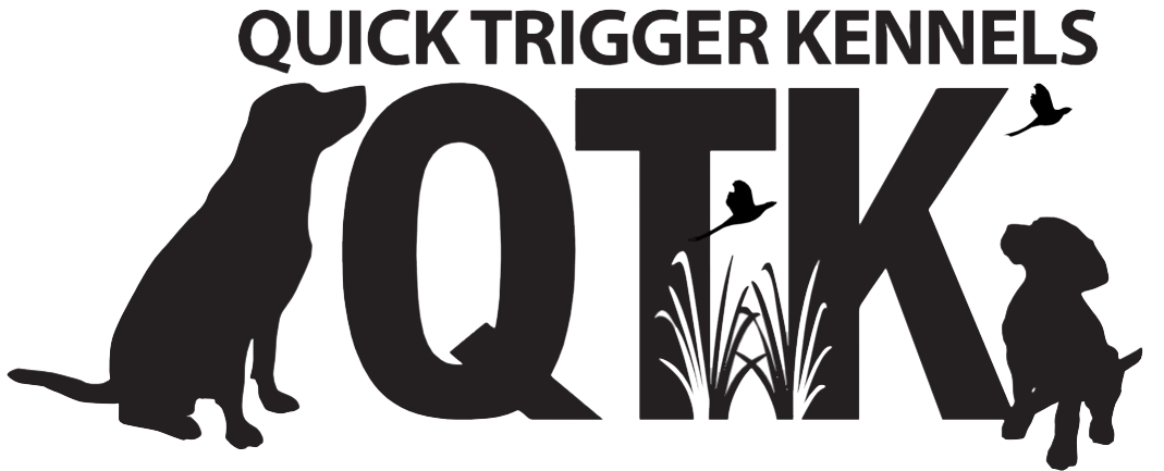 The logo for quick trigger kennels 
shows two labradors sitting on either side of the letters QTK