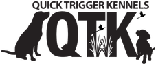 The logo for quick trigger kennels 
shows two labradors sitting on either side of the letters QTK