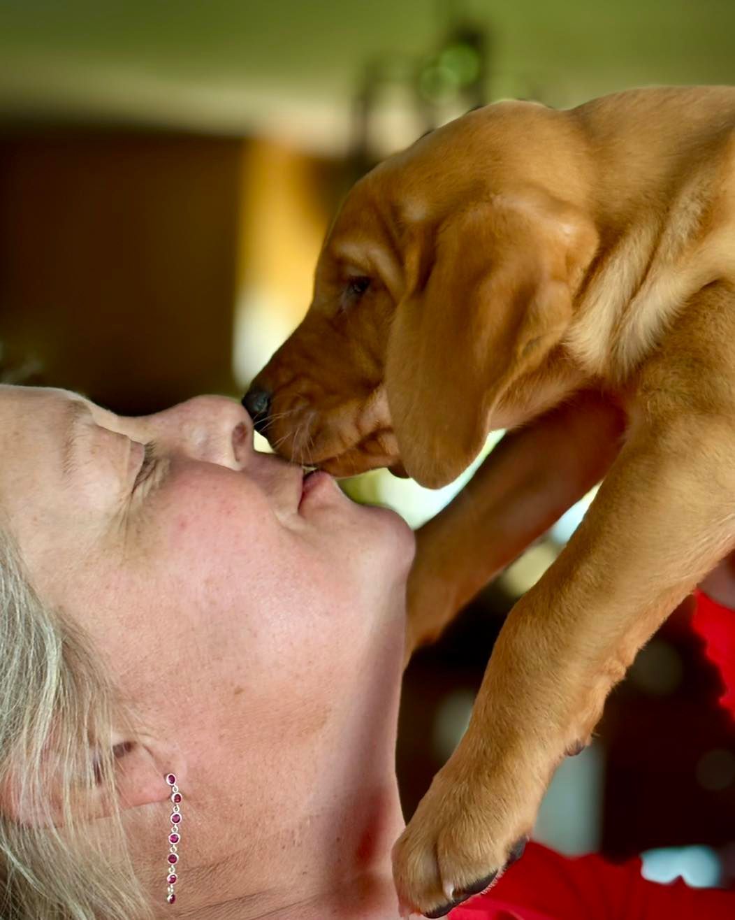 A puppy is kissing a woman on the nose