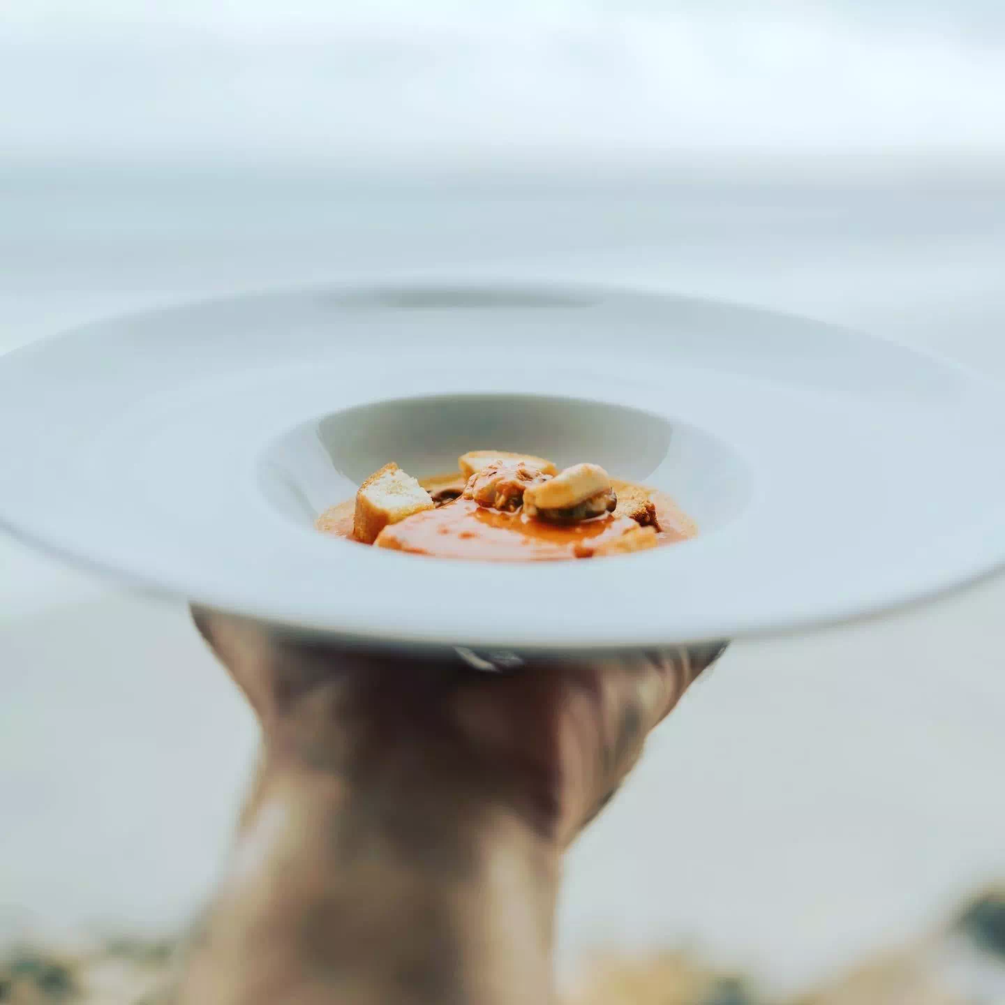 Ristorante Porto Salvo Terracina Ie nostre creazioni e portate