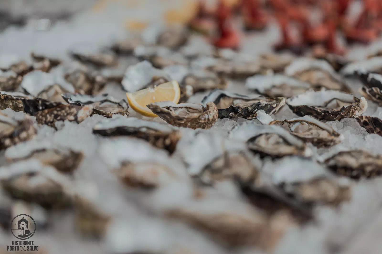 Ristorante Porto Salvo Terracina Ie nostre creazioni e portate