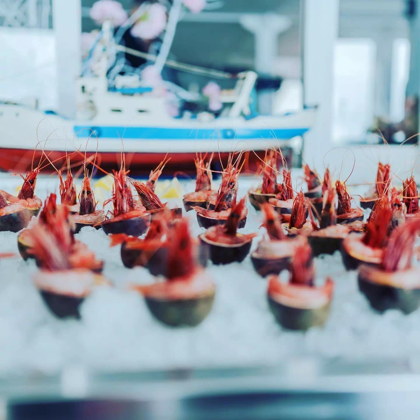 Ristorante Porto Salvo Terracina Ie nostre creazioni e portate