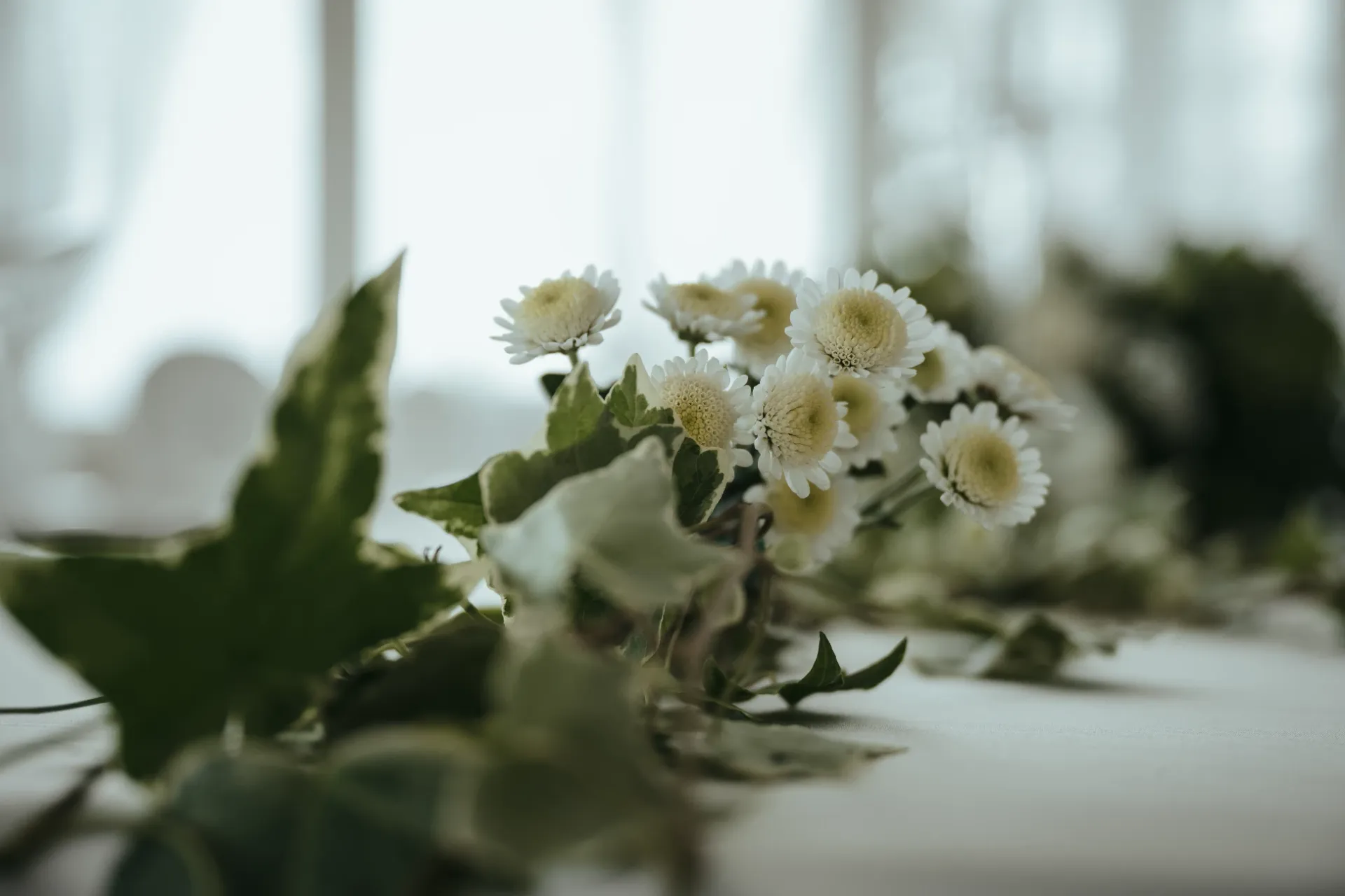 Ristorante Porto Salvo Terracina Location Cerimonie e Wedding Day