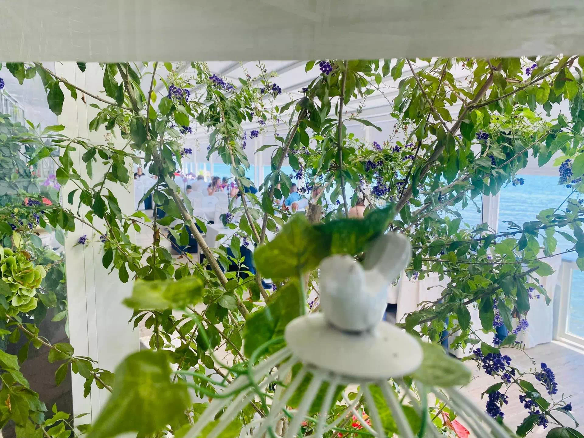 Ristorante Porto Salvo Terracina Location Cerimonie e Wedding Day