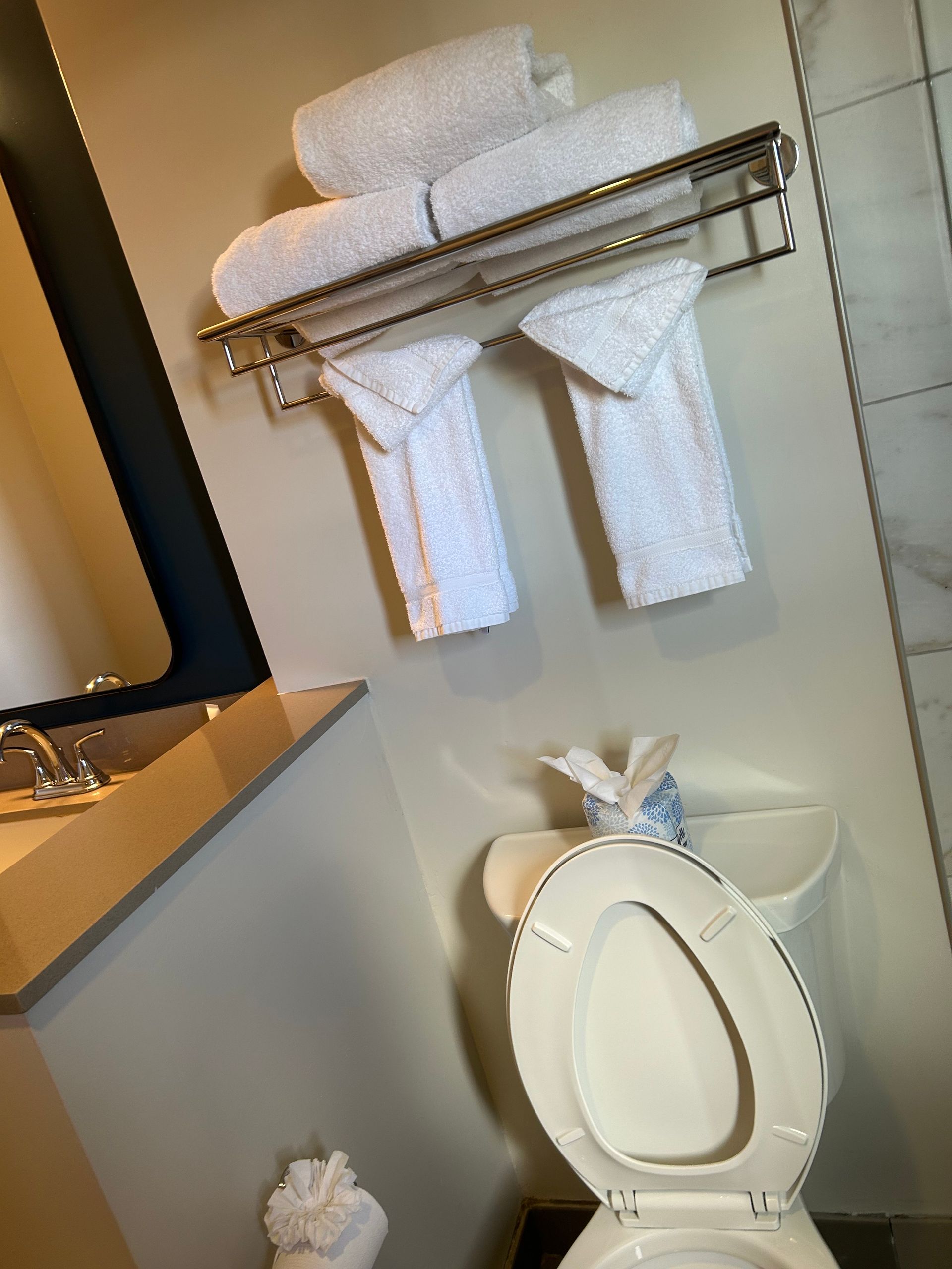 A bathroom with a toilet and towels on the wall