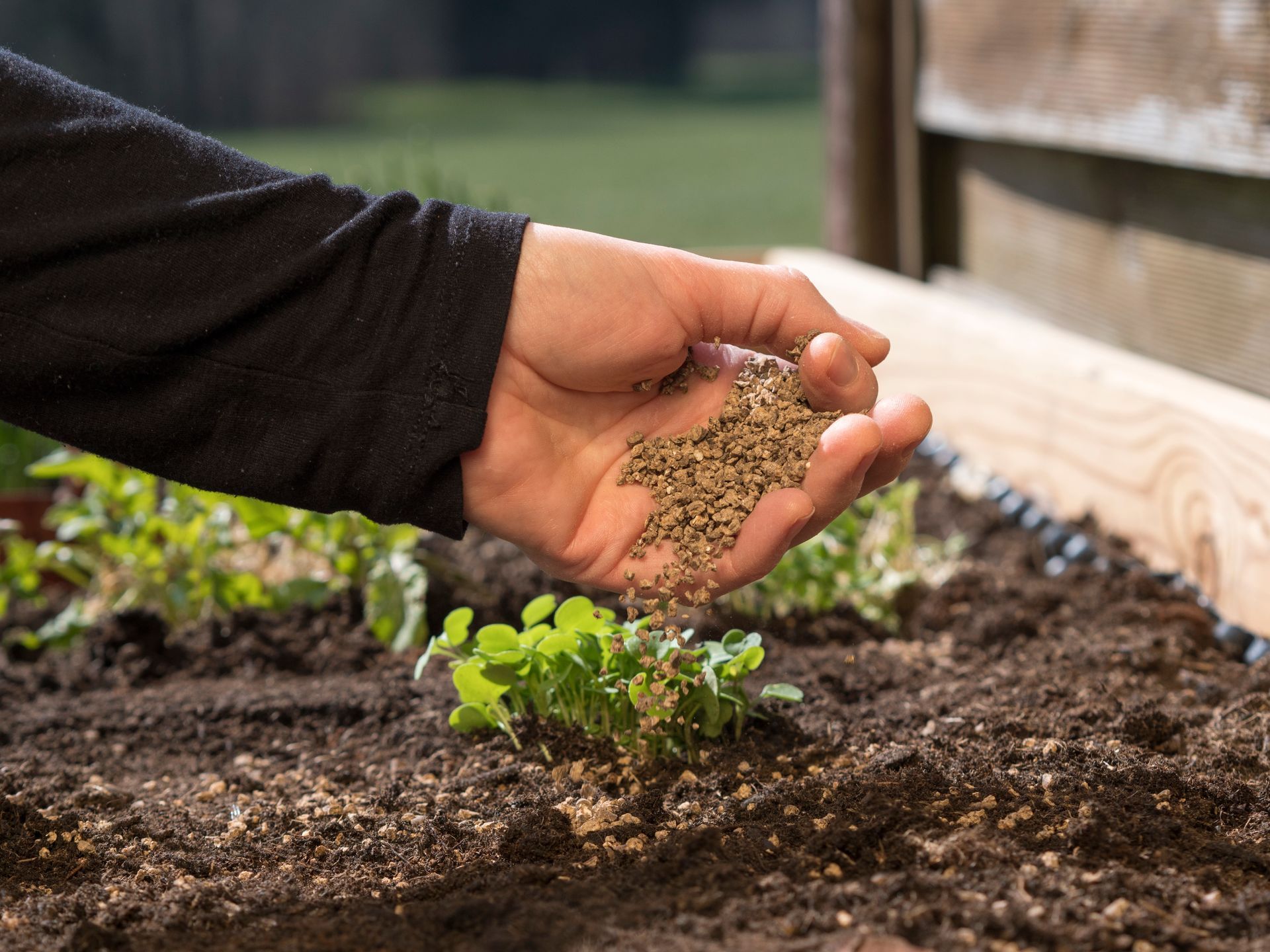 Plant Bed With Mulch