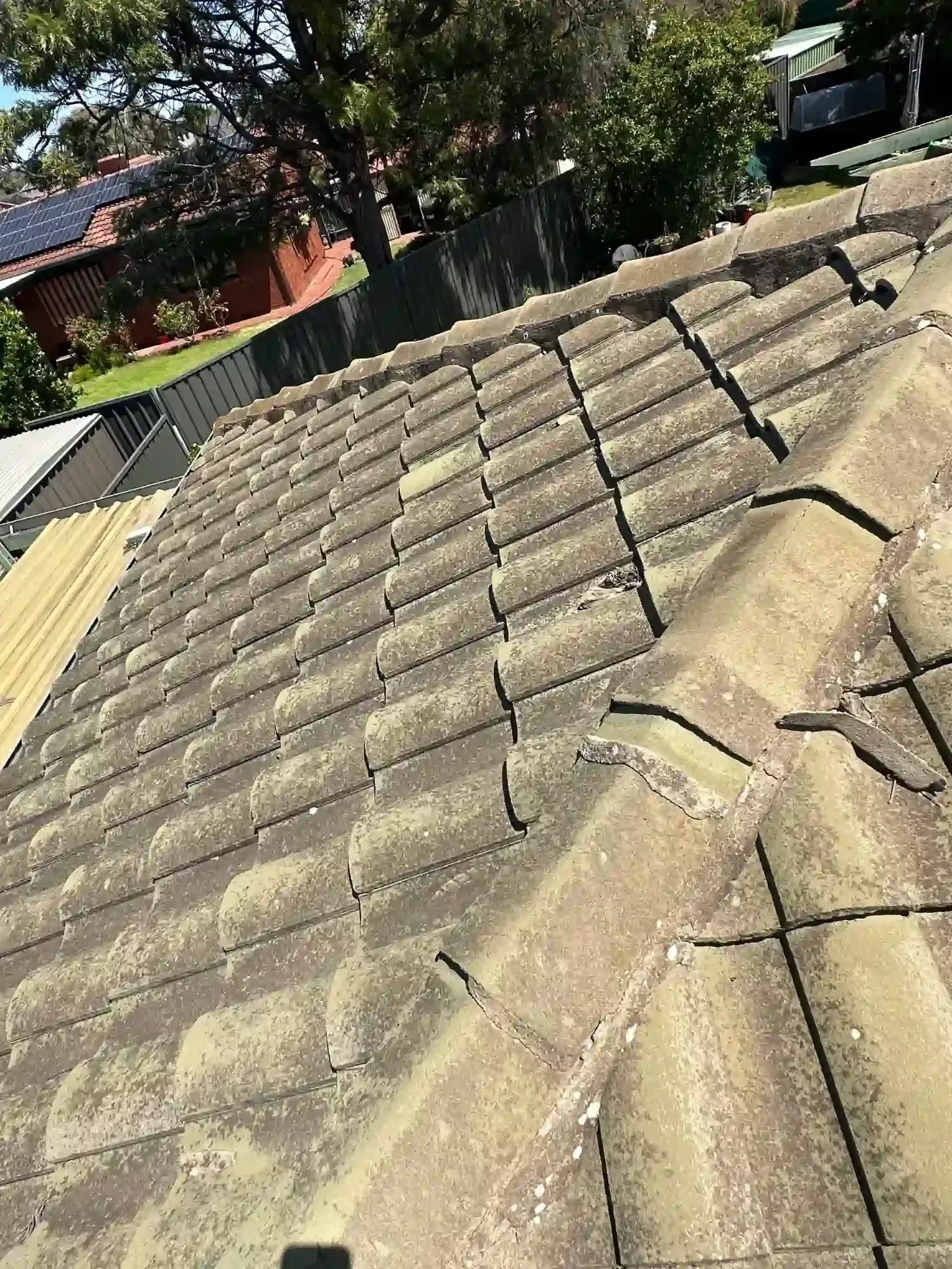 A roof with a lot of tiles on it and a tree in the background.
