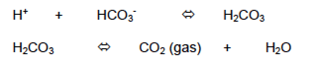 H+ + HCO3-  H2CO3 H2CO3  CO2 (gas) + H2O