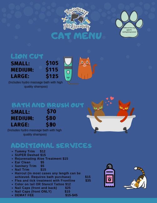 Cat Groomer Chicago, IL Ravenswoof Pet Grooming