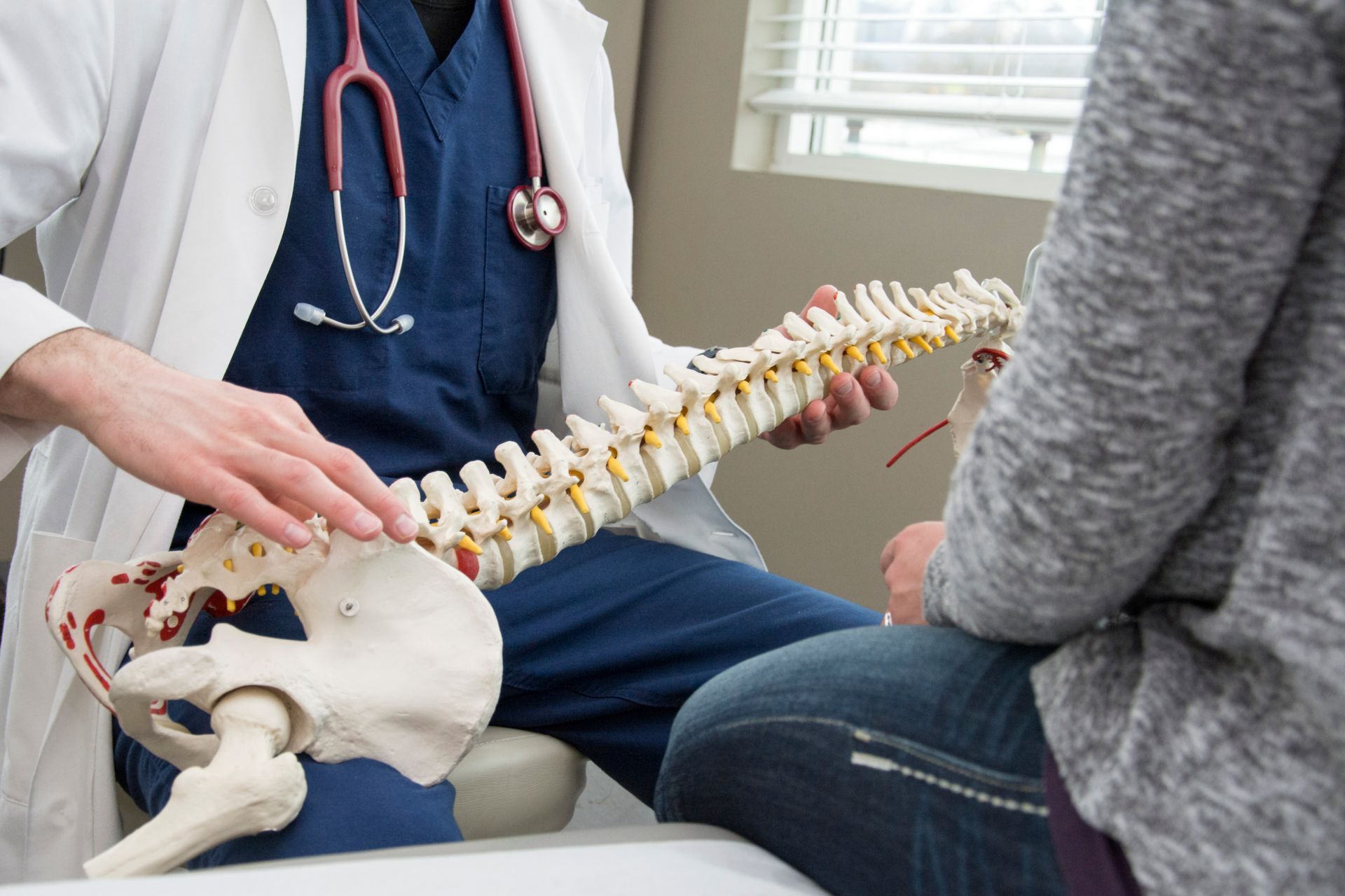 Medical professional holding a spine model while explaining it to a seated patient.