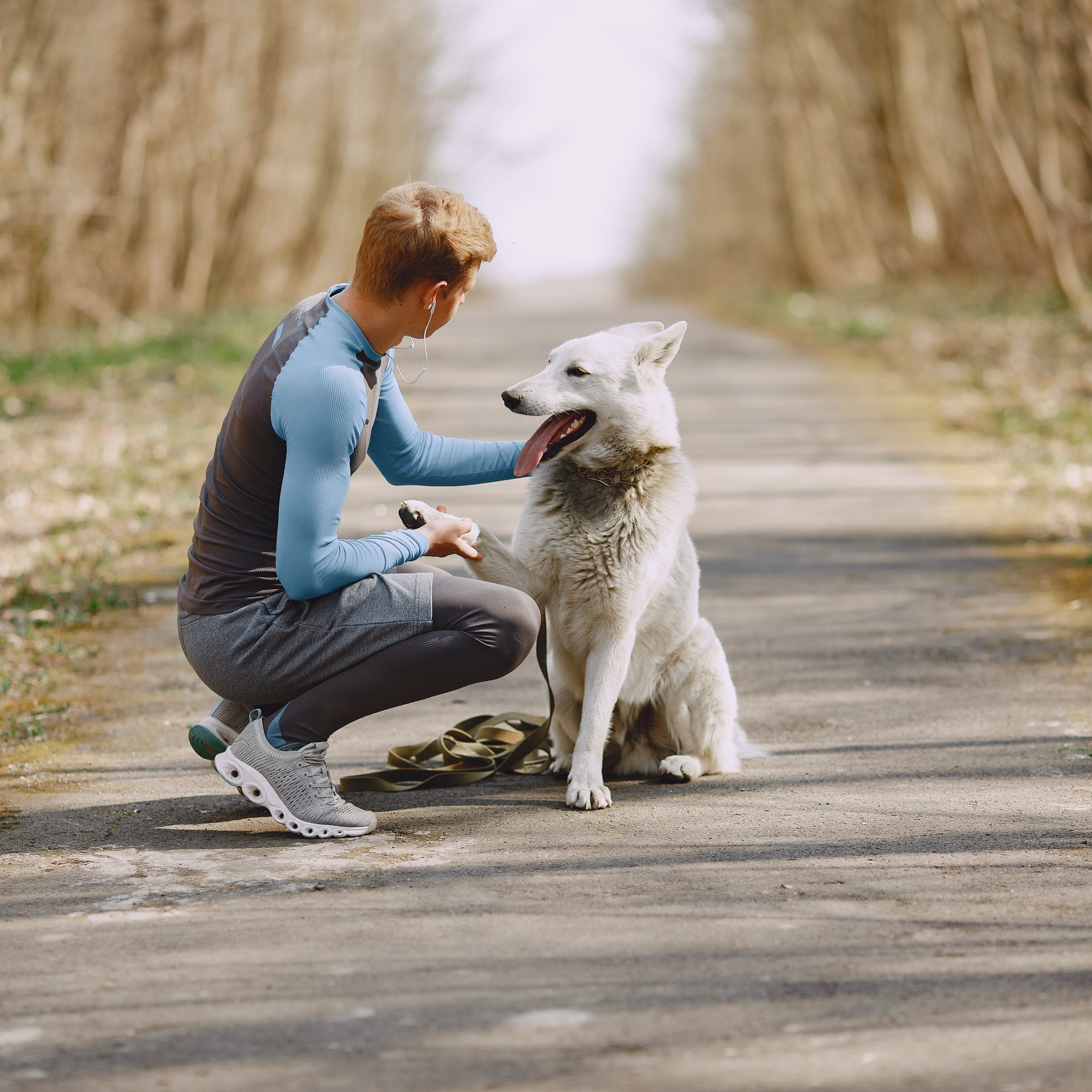 Petcare in Ellington