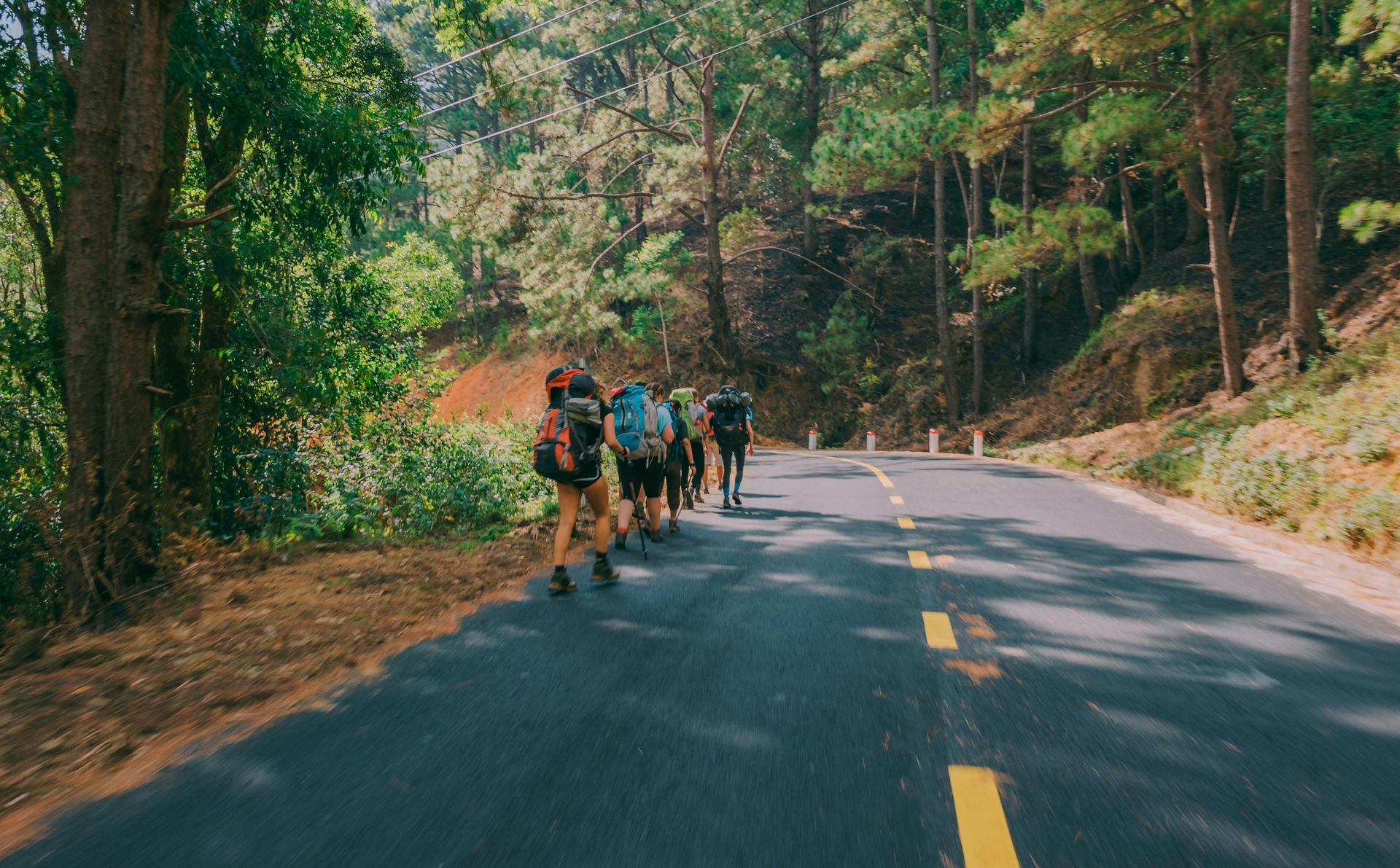 People Walking Down a Road