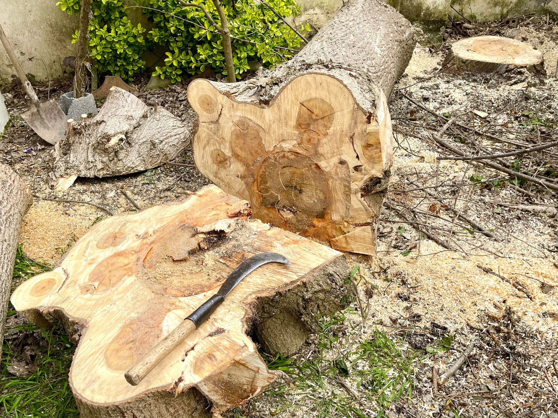 A large piece of wood is sitting on top of a tree stump.