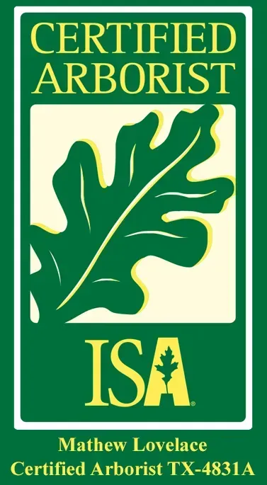 A certified arborist isa logo with an oak leaf