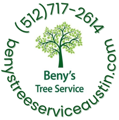 Beny's Tree Service