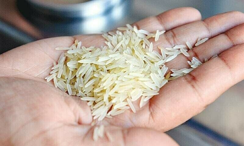 A person is holding a pile of rice in their hand.