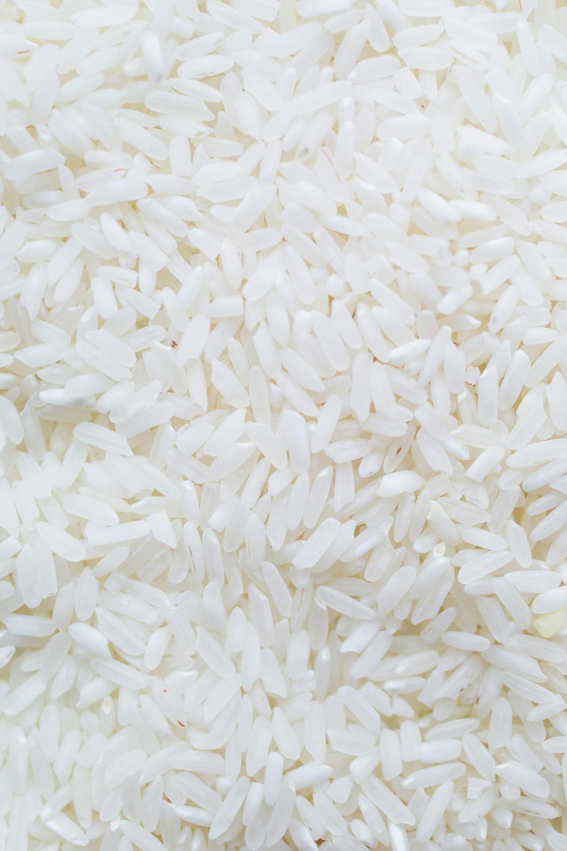 A close up of a pile of white rice.