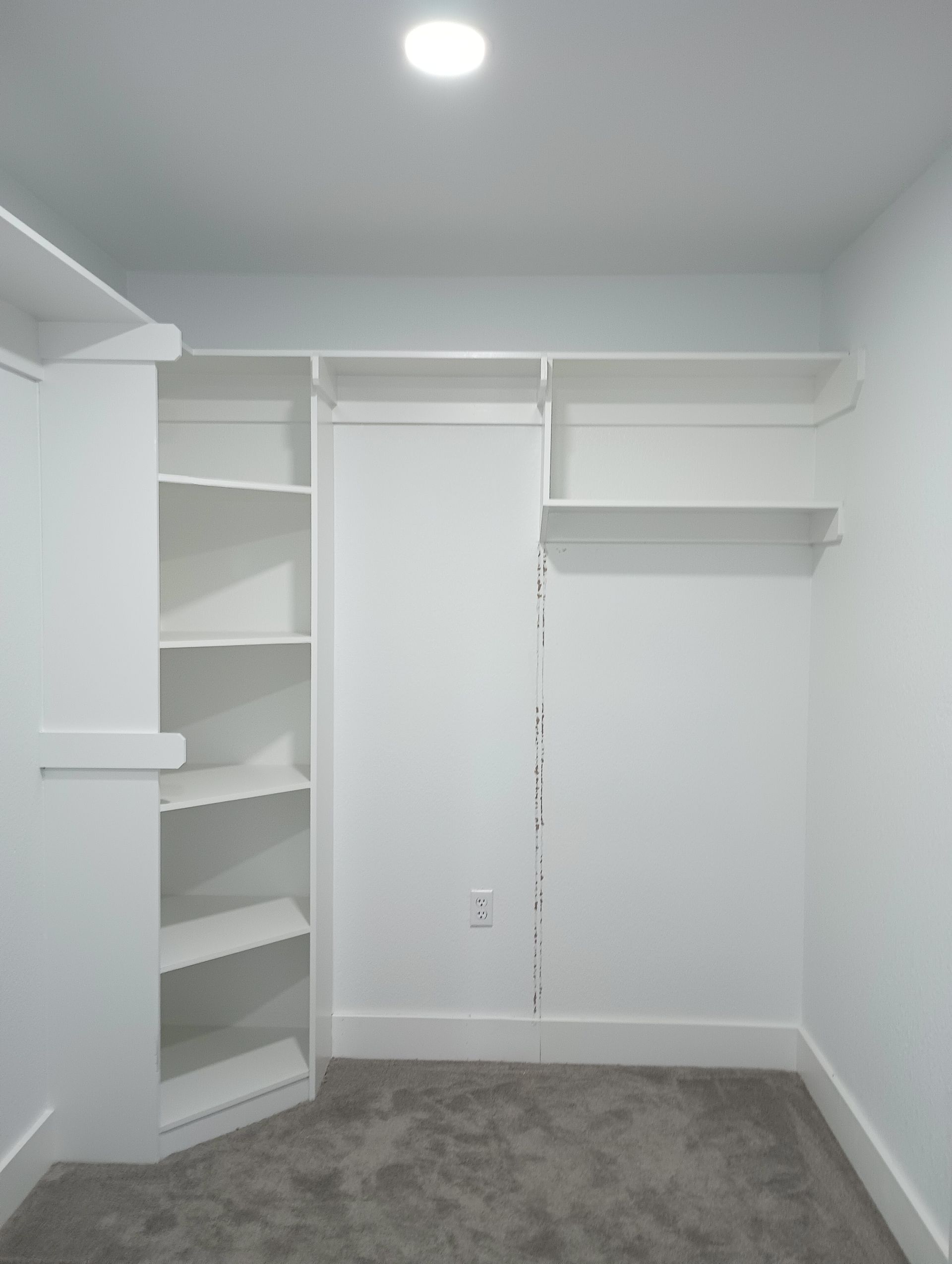 A walk in closet with white shelves and a gray carpet.