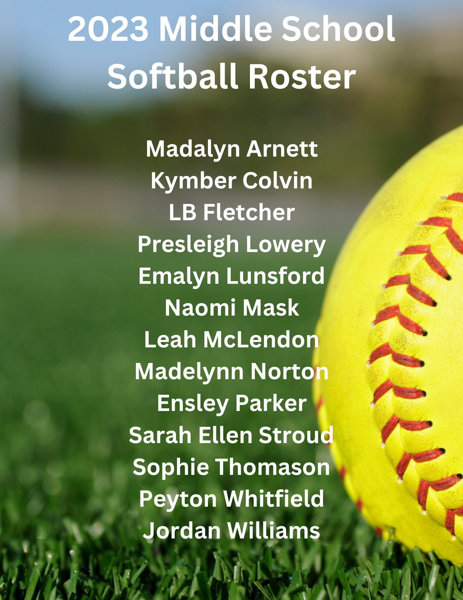a picture of a softball with the names of the players on it