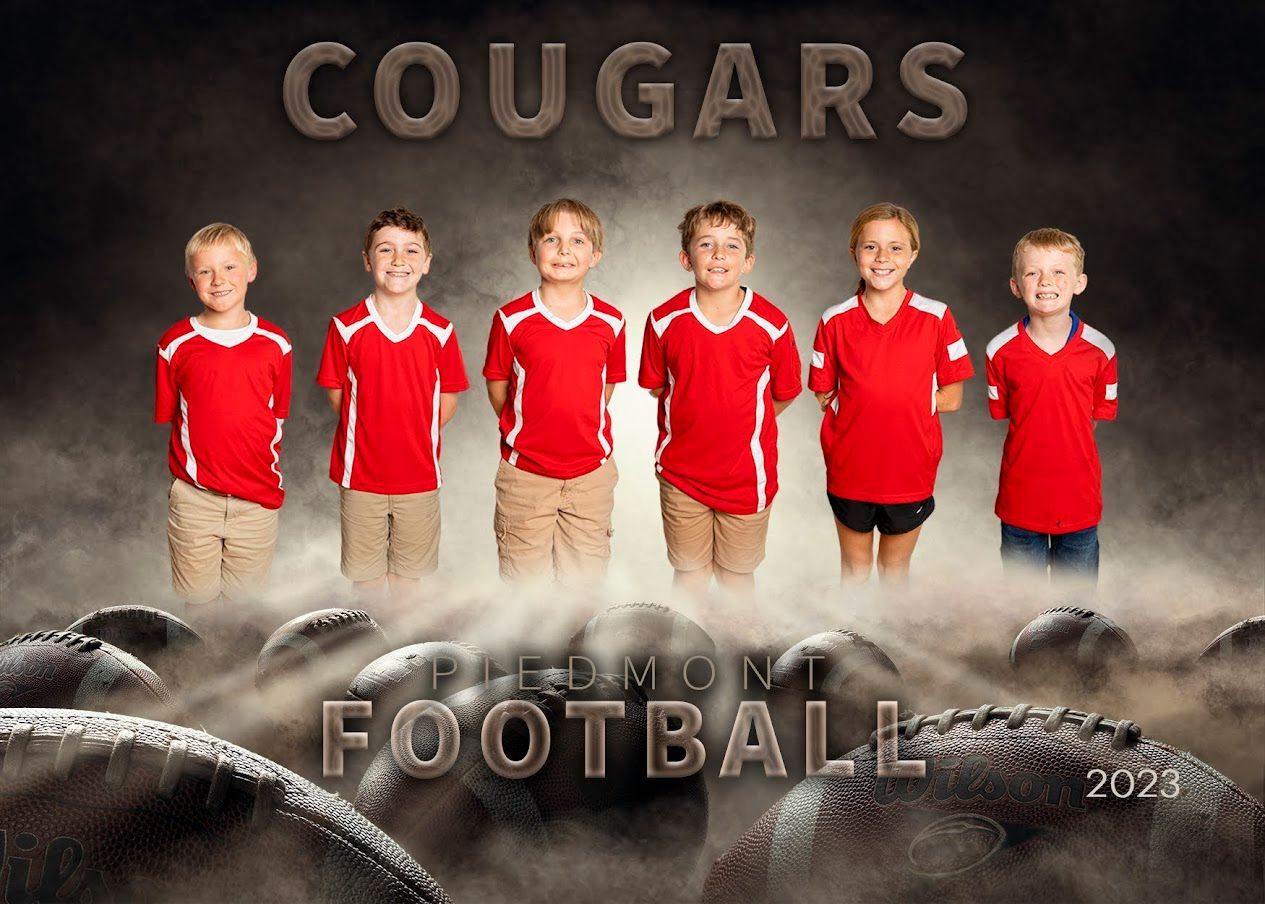 a group of young boys are posing for a picture for a football team called the cougars