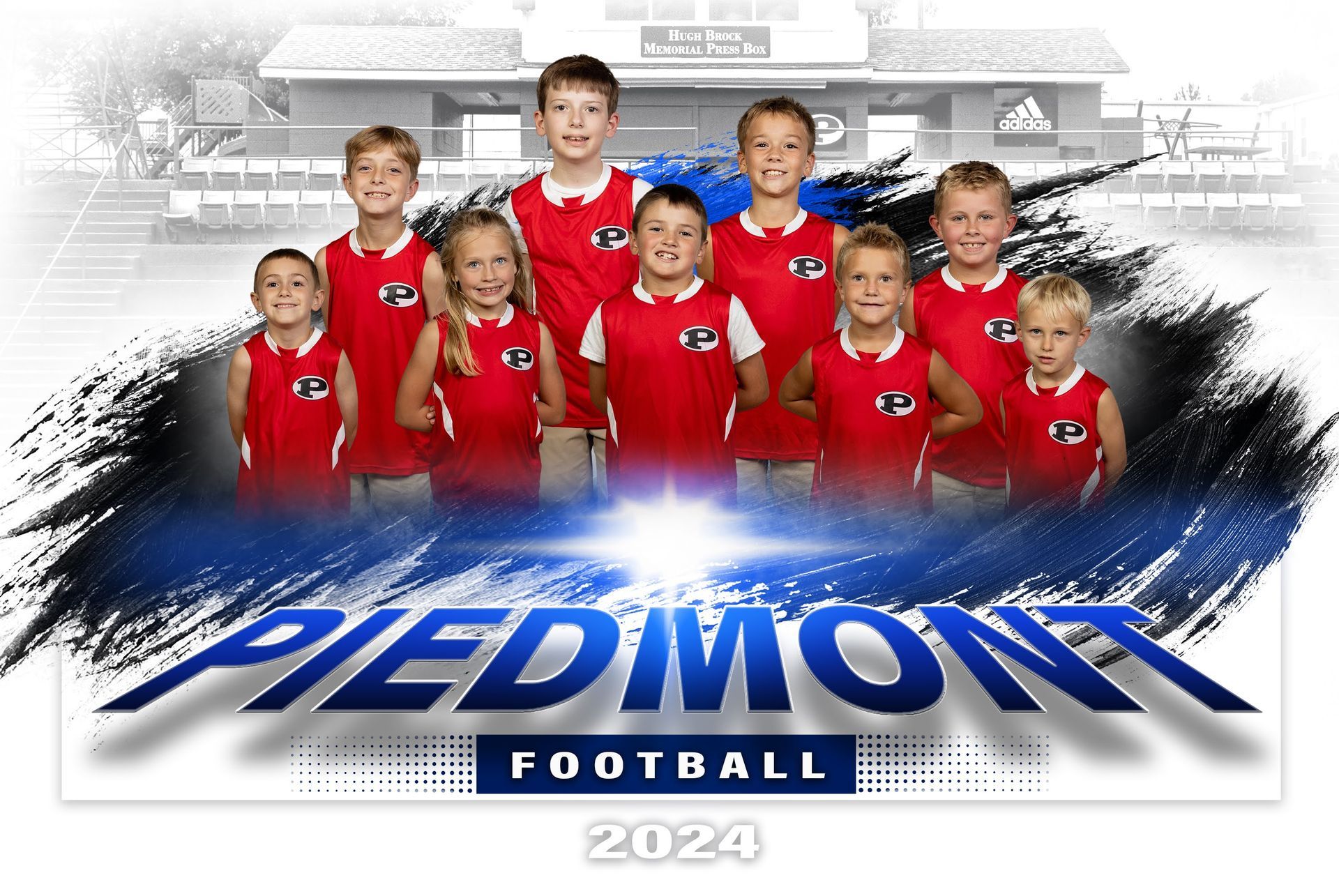 a group of young boys are posing for a picture for a football team called the cougars