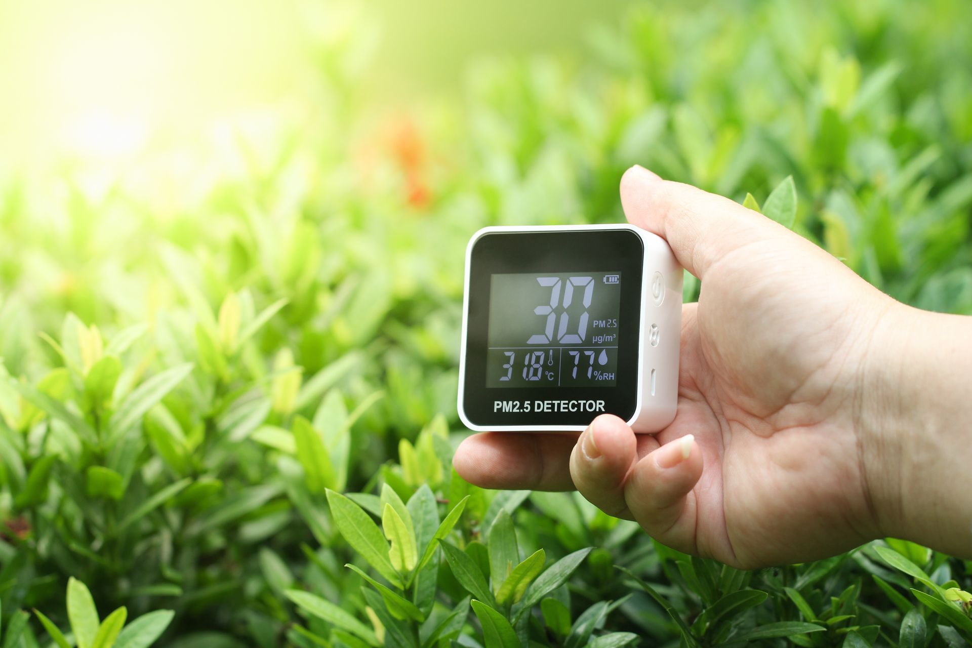 Hand holding a digital device displaying temperature and time amidst green foliage.