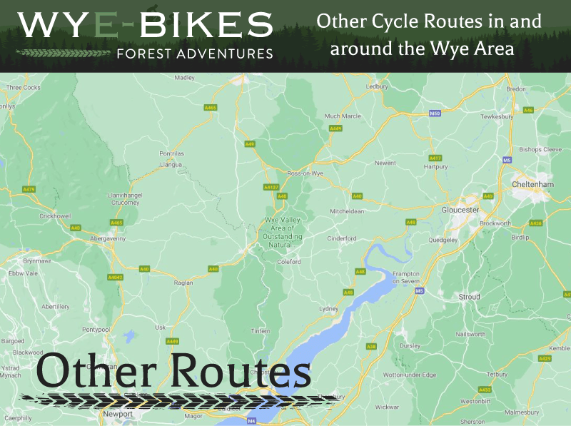 Cycle Routes Family Cycle Trail in Central Forest of Dean Wye Bikes