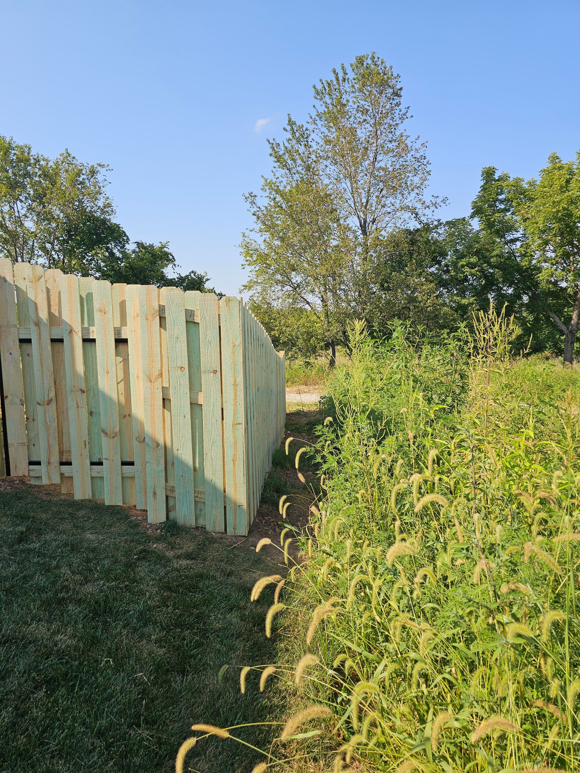 Wooden structure with green tint next to tall grass and trees under a blue sky.