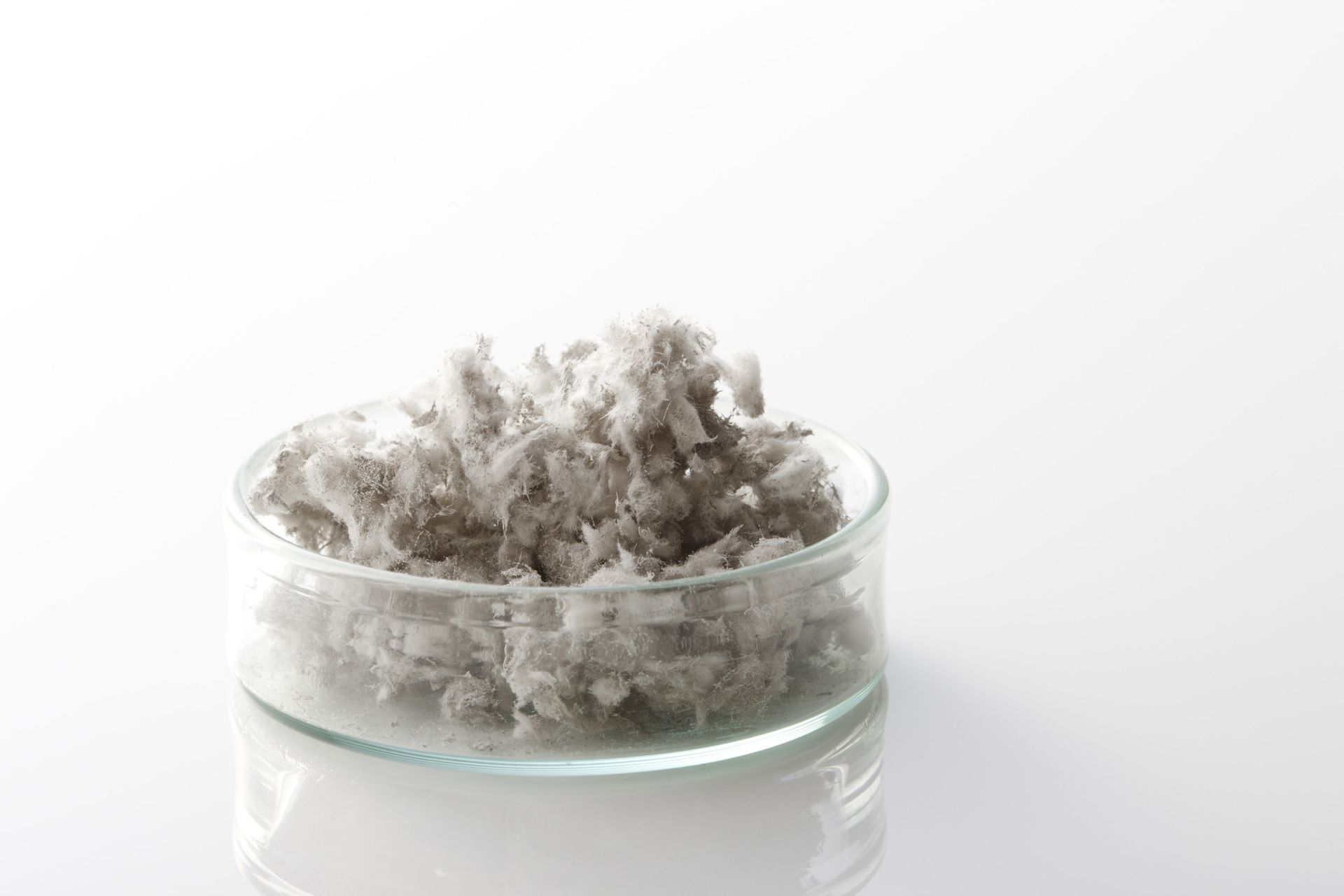 Asbestos in a glass dish in a laboratory