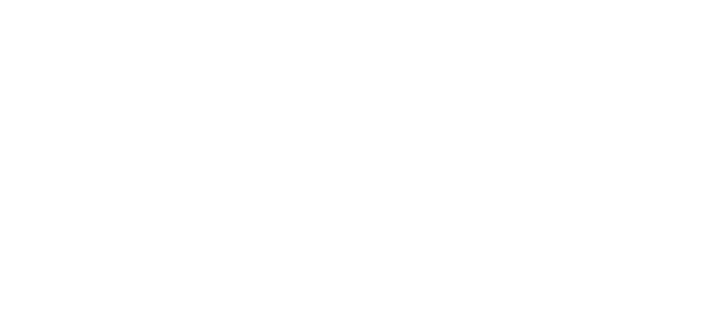 WSIA Logo