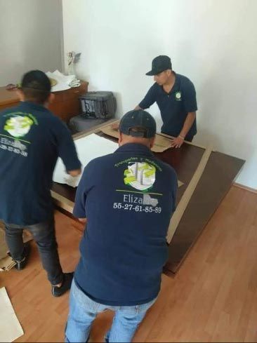 TRANSPORTES Y MUDANZAS ELIZALDE